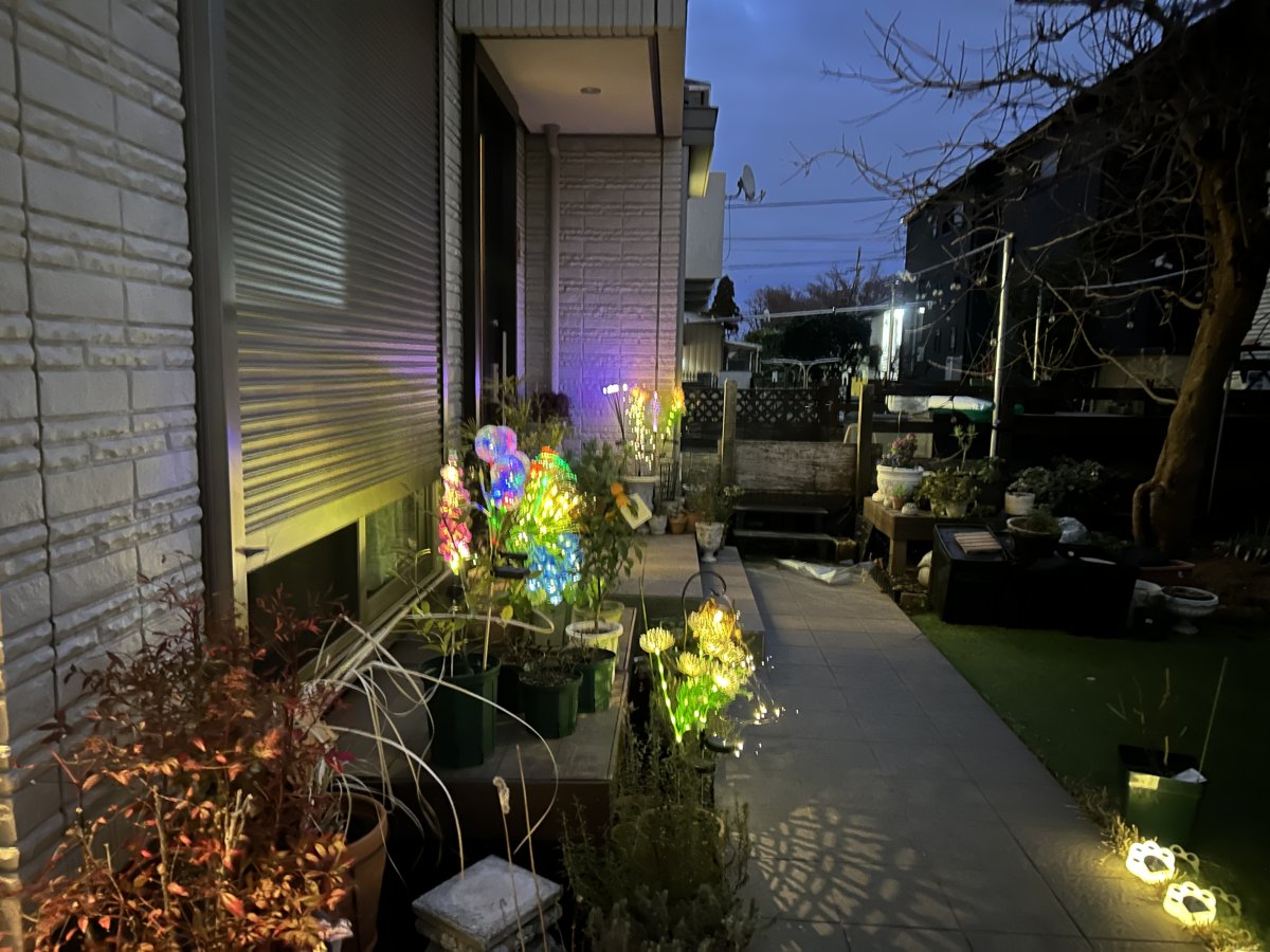 写真 2026-01-08 17 12 41.jpg