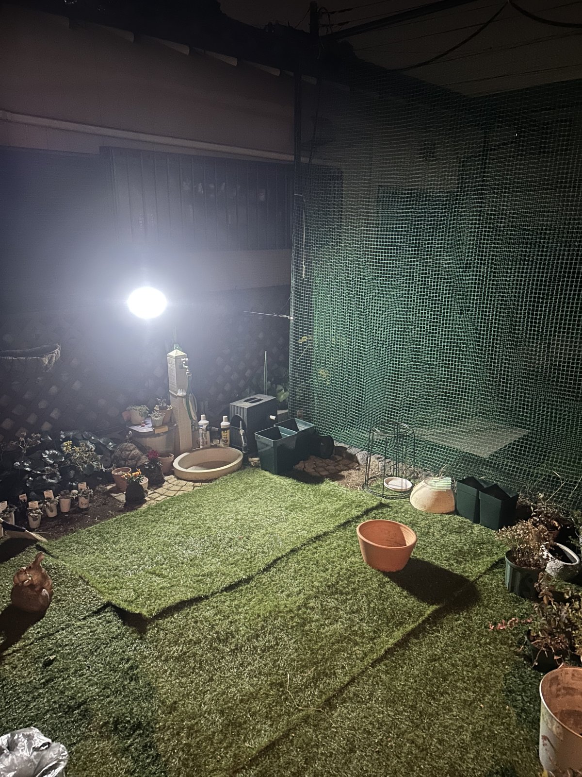 写真 2024-12-20 19 36 31.jpg
