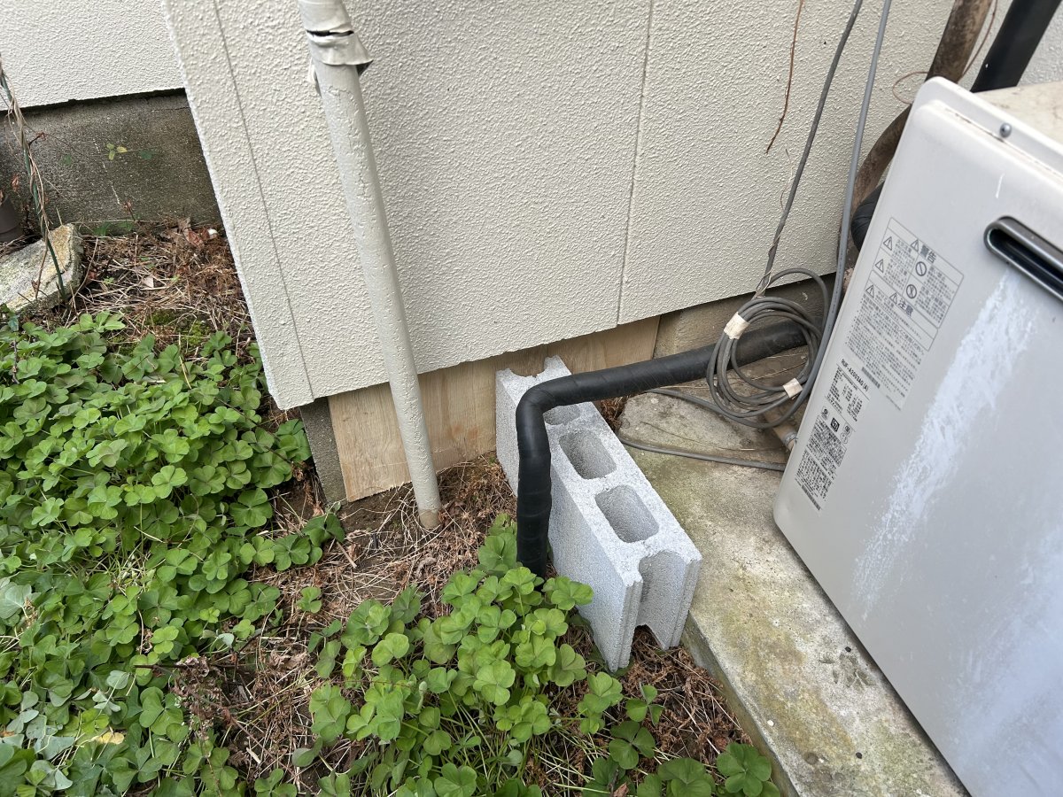 image21773881982.jpg