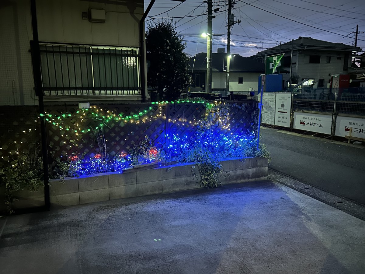image31773881188.jpg
