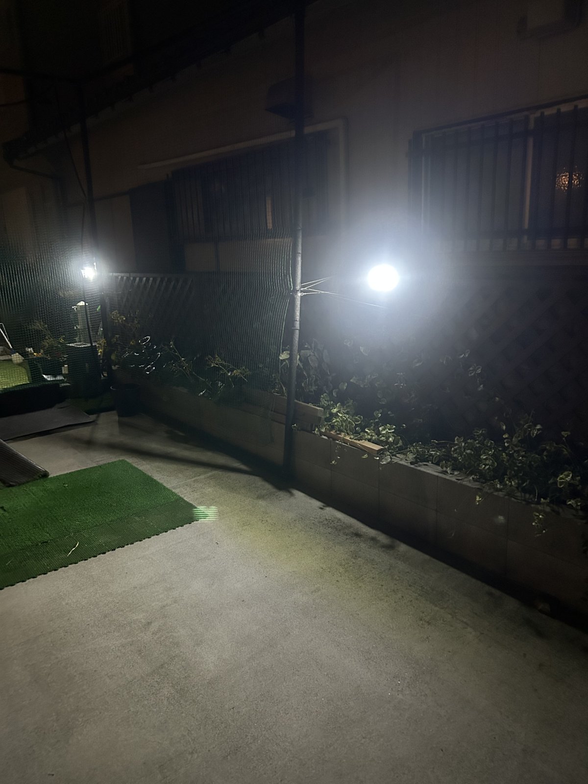 写真 2024-12-20 19 36 51.jpg